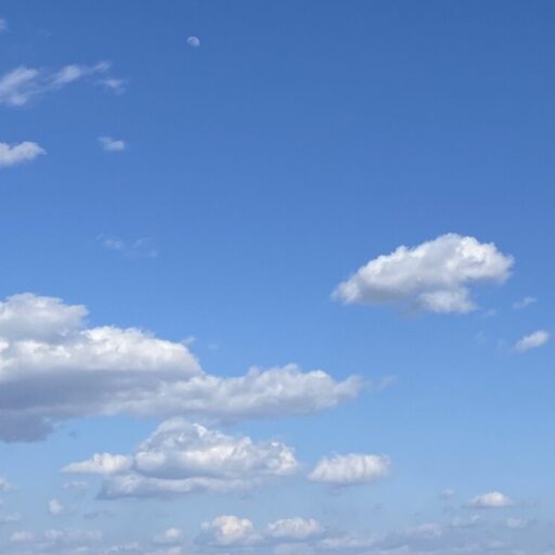 ミラセルスティック ビューティー⭐️浴びる美容液🙂シャワーで美容⭐️限られた時間の中で・全身を美容ケアできる・肌のつっぱり感・膝、肘、背中の乾燥やザラつき